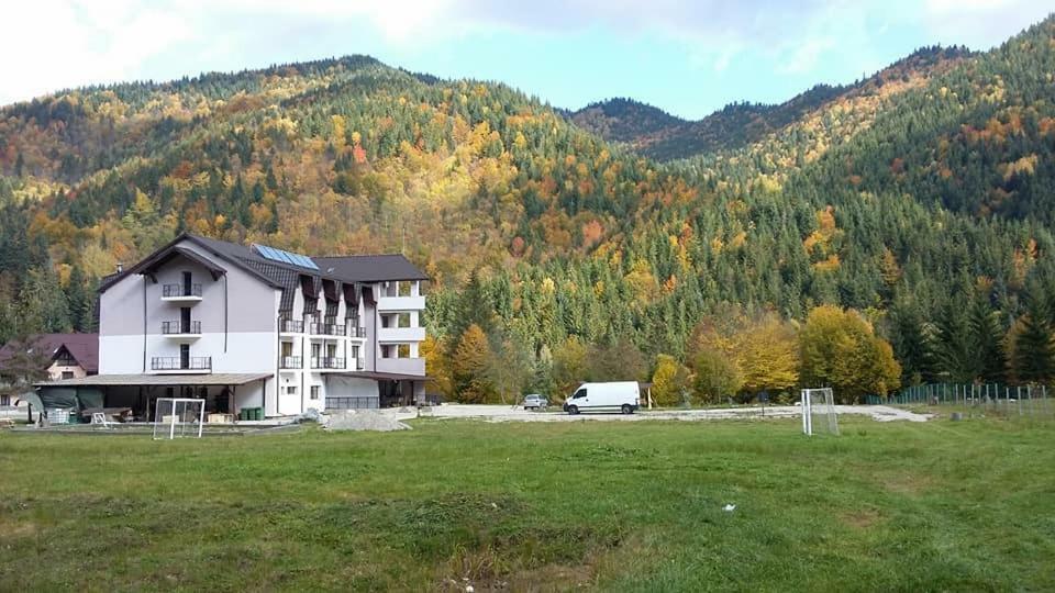Pensiunea Poiana Soarelui Brates Exterior foto